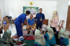 IMG-20241109-WA0022