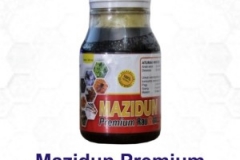 mazidun-premium-300x300