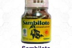 sambiloto-300x300