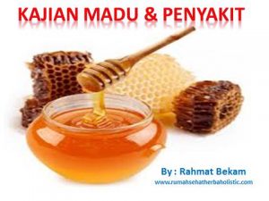 kajian madu penyakit